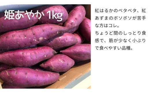 茨城名産 さつまいも 食べくらべ セット【ねっとり】 1kg × 3種 3kg サツマイモ 芋 詰合せ 野菜 スイーツ 焼き芋 紫芋 紅はるか ふくむらさき 姫あやか 生芋