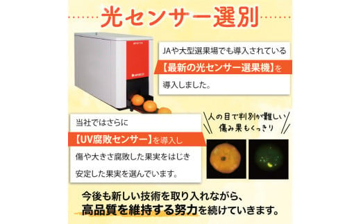 ＼光センサー選別／ 【訳あり】清見オレンジ　約7kg　ご家庭用　※2022年3月上旬より順次発送予定（お届け日指定不可）【nuk128】