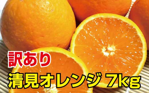 ＼光センサー選別／ 【訳あり】清見オレンジ　約7kg　ご家庭用　※2022年3月上旬より順次発送予定（お届け日指定不可）【nuk128】