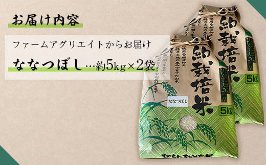 【新米】令和6年産米 ファームアグリエイトのななつぼし　約5kg×2袋　計10kg 【 ふるさと納税 人気 おすすめ ランキング 北海道 壮瞥 新米 米 白米 特Aランク ななつぼし 甘い 贈り物 贈物 贈答 ギフト 大容量 詰合せ セット 北海道 壮瞥町 送料無料 】 SBTB011