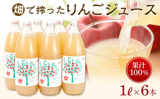 りんご ジュース 6本 × 各1000ml 大町産 箱入り