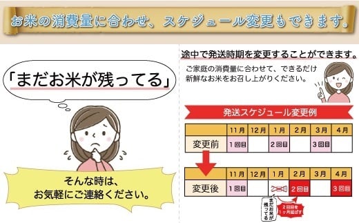 ＜配送時期が選べて便利な定期便＞ 令和6年産 雪若丸  ［白米］ 60㎏ 定期便（20kg×3回お届け） 大蔵村