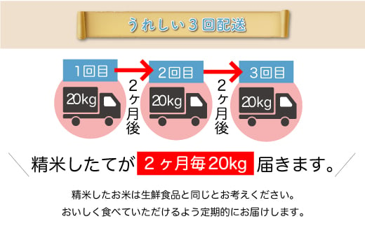 ＜配送時期が選べて便利な定期便＞ 令和6年産 雪若丸  ［白米］ 60㎏ 定期便（20kg×3回お届け） 大蔵村