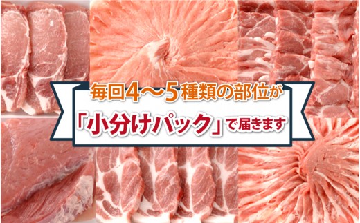 【定期便】豚肉 石見ポーク　豚まるごと1頭セット43kg【月2回×6か月】