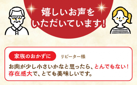 【全3回定期便】長崎角煮まぶし10袋【株式会社岩崎食品】 [QBR034]