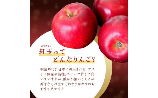 【2024年12月下旬発送】 りんご 5kg 紅玉 青森