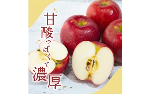 【2024年12月下旬発送】 りんご 5kg 紅玉 青森