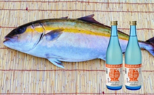 【年4回】鮮魚・日本酒（幻の酒）定期便