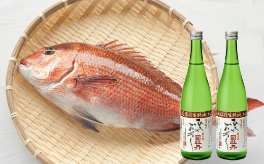 【年4回】鮮魚・日本酒（幻の酒）定期便