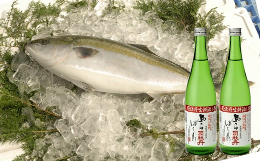 【年4回】鮮魚・日本酒（幻の酒）定期便