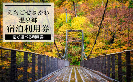 選ばれる温泉体験 9000円分の温泉宿泊利用券_温泉 宿泊券 体験ギフト 癒し リラックス 人気 おすすめ プレゼント ギフト【1278599】