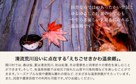 選ばれる温泉体験 9000円分の温泉宿泊利用券_温泉 宿泊券 体験ギフト 癒し リラックス 人気 おすすめ プレゼント ギフト【1278599】