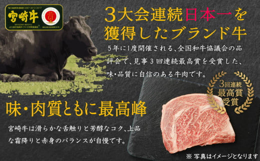 宮崎牛 しゃぶしゃぶ すき焼き・宮崎県産 豚ロース しゃぶしゃぶ 計1kg（500g×2P）国産 ウデ スライス 普段使い 九州産【B439-24-30】