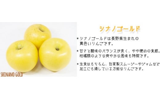 りんご シナノゴールド 家庭用 3kg ファームトヤ 沖縄県への配送不可 2024年11月中旬頃から2024年12月下旬頃まで順次発送予定 令和6年度収穫分 信州 果物 フルーツ リンゴ 林檎 長野 10500円 予約 農家直送 長野県 飯綱町 [1422]