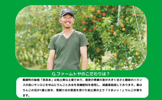 りんご シナノゴールド 家庭用 3kg ファームトヤ 沖縄県への配送不可 2024年11月中旬頃から2024年12月下旬頃まで順次発送予定 令和6年度収穫分 信州 果物 フルーツ リンゴ 林檎 長野 10500円 予約 農家直送 長野県 飯綱町 [1422]