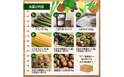 北海道芽室町 旬の野菜定期便 8回 食べつくしセット なまら十勝野 me001-016c