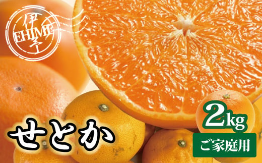 訳あり せとか 2kg ご家庭用 みかん 愛媛 人気 サイズミックス 柑橘 伊予市｜B235