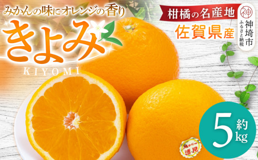 【先行受付 令和7年3月より発送】佐賀県産柑橘『清見』約5000g【フルーツ 果物 みかん オレンジ 柑橘 デザート ふるさと納税】(H108110)