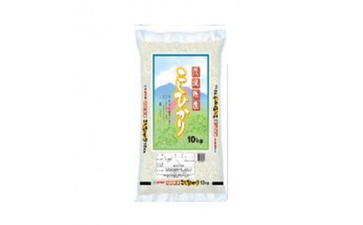 ＜令和5年産＞パール　茨城産こしひかり　10kg【1365212】