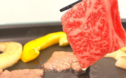 FKP9-621 くまもとあか牛 焼肉用カット 500g 牛肉 冷凍 九州 熊本県 球磨村