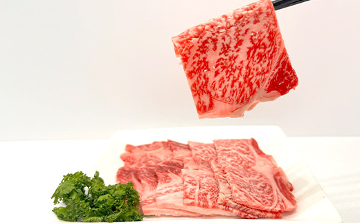 FKP9-621 くまもとあか牛 焼肉用カット 500g 牛肉 冷凍 九州 熊本県 球磨村