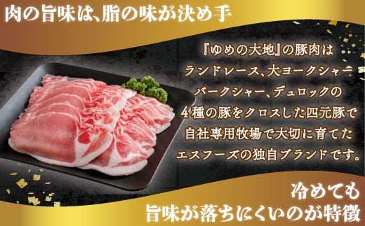 【平取町産四元豚】ゆめの大地豚ローススライス200g×5パック計1ｋｇ ふるさと納税 人気 おすすめ ランキング 豚肉 肉 ロース 北海道 平取町 送料無料 BRTD007