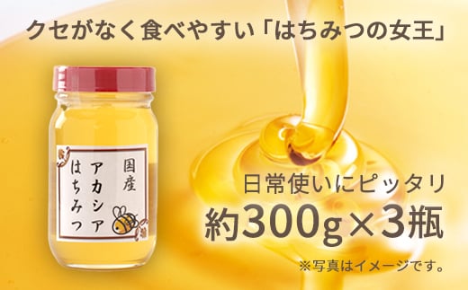 No.295 アカシアはちみつ　各約300g×3個（合計900g） ／ 蜂蜜 ハチミツ 埼玉県 特産