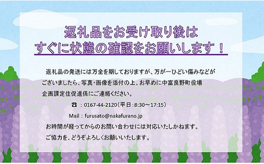 【2024年度米】山内農園　ななつぼし　10kg【精米】