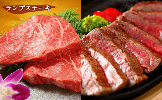 あか牛 ステーキ 贅沢 4点セット 合計1590g 牛肉 焼肉