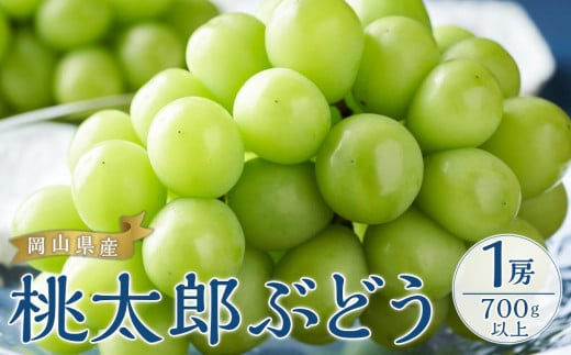 ぶどう 2025年 先行予約 桃太郎 ぶどう 1房700g以上 ブドウ 葡萄  岡山県産 国産 フルーツ 果物 ギフト