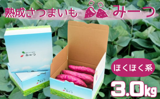 熟成さつまいも みーつ (ほくほく系) 3.0kg【数量限定】｜ なると金時 鳴門金時 甘い ホクホク スイーツ 焼きいも スイートポテト おやつ 天ぷら 干し芋 ギフト