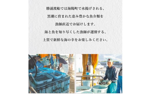 アラ 約1kg 産地直送 冷凍 下処理済 あら 𩺊 高級魚 水揚げ時重量約1kg 下処理後約900g