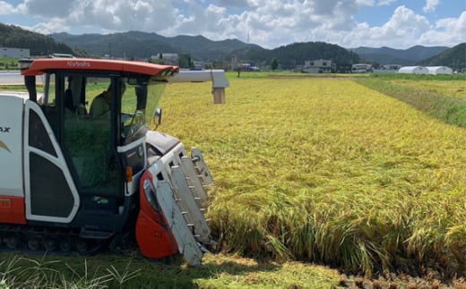 山県市産 ひとめぼれ 5kg（5kg×1袋）（白米） [No.796] ／ お米 ブランド米 優良水田 岐阜県 特産品