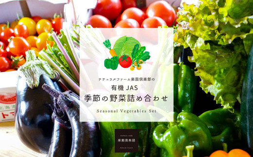 【有機JAS認定】【6ヶ月隔月定期便】 季節の野菜詰め合わせ ～有機野菜セットB