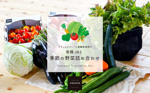 【有機JAS認定】【6ヶ月隔月定期便】 季節の野菜詰め合わせ ～有機野菜セットB