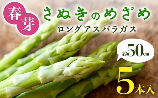 春芽 さぬきのめざめ 約50㎝ロングアスパラガス ５本入り アスパラ サラダ お弁当 おかず フレッシュ 新鮮 琴平 香川 F5J-761