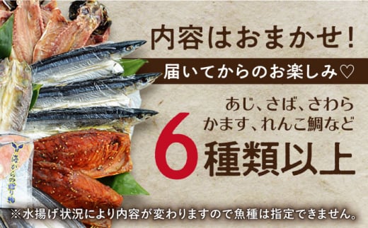 【全3回定期便】長崎出島屋お任せ／訳 あり干物24枚 長崎県/長崎旬彩出島屋 [42AAAJ014]ワケあり 長崎 新鮮 おつまみ 晩酌 家庭用