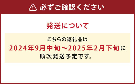 【厳選品】岩手にのへじゃがいも「伝」メークイン (L・Mサイズ) 10kg