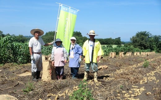 【厳選品】岩手にのへじゃがいも「伝」メークイン (L・Mサイズ) 10kg