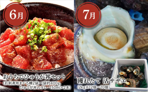 【6ヶ月定期便】つくみグルメCコース【2月から計6回】おおいた和牛焼肉セット、まぐろカマとカマのスライス、鳥いちのから揚げ、本まぐろ中トロ、ひゅうが丼、活サザエ 大分県産 津久見市