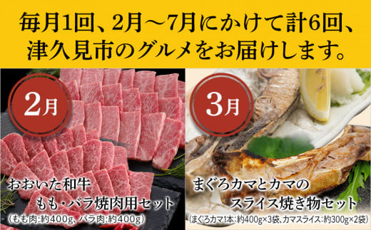 【6ヶ月定期便】つくみグルメCコース【2月から計6回】おおいた和牛焼肉セット、まぐろカマとカマのスライス、鳥いちのから揚げ、本まぐろ中トロ、ひゅうが丼、活サザエ 大分県産 津久見市