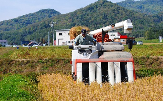 愛別町産米（ななつぼし2kg＆ゆめぴりか2kg）12ヶ月定期配送【A50330】