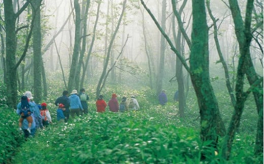 秘境キラコタン岬へのガイド付きプラン