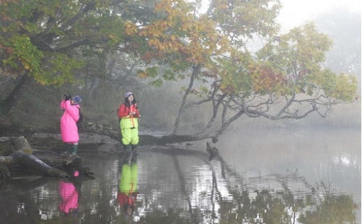 行かないと分からない感動がそこにあります
