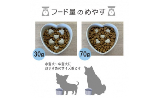 美濃焼　陶器製ペット用フードボウル＜早食い防止 ハート型高台フードボウル/ピーチpet143＞【1427828】