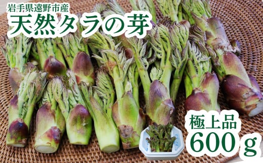 遠野産天然タラの芽600ｇ