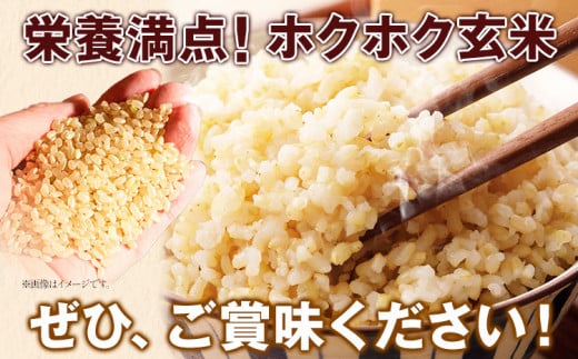 はなみち農園のうんまいお米・玄米 令和6年産 5kg 《30日以内に出荷予定(土日祝除く)》玄米 美馬市産 実森ラボラトリー株式会社 自家製小麦のお店mimori 送料無料 徳島県 美馬市