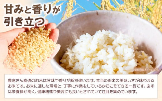 はなみち農園のうんまいお米・玄米 令和6年産 5kg 《30日以内に出荷予定(土日祝除く)》玄米 美馬市産 実森ラボラトリー株式会社 自家製小麦のお店mimori 送料無料 徳島県 美馬市