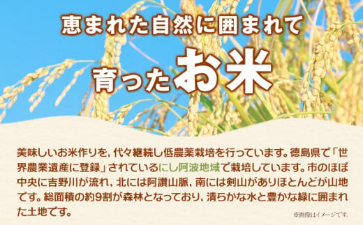 はなみち農園のうんまいお米・玄米 令和6年産 5kg 《30日以内に出荷予定(土日祝除く)》玄米 美馬市産 実森ラボラトリー株式会社 自家製小麦のお店mimori 送料無料 徳島県 美馬市