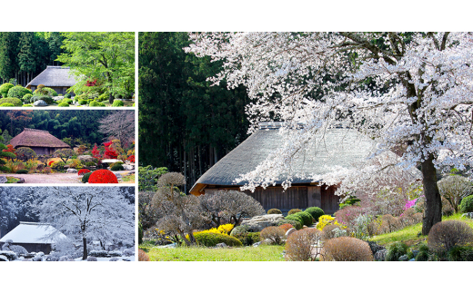 東秩父村　細川紙フラワー「桜(大)」【1142929】